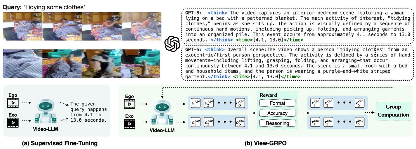 View-GRPO: SFT versus RL with view-specific reasoning rewards